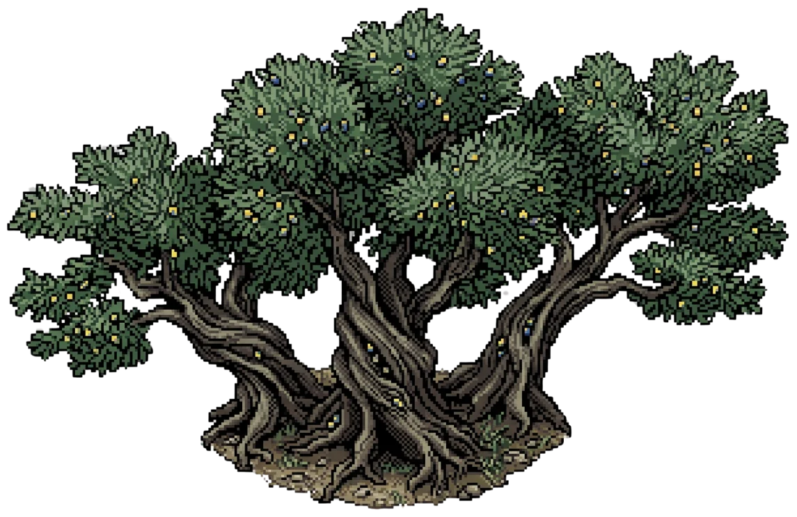 Centuries-old Spanish olive tree